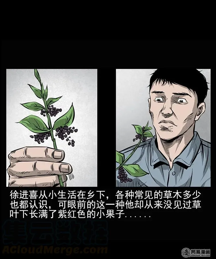 67 赤脚医生破蛊（下）4